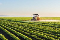 Thế khó của bất động sản nông nghiệp