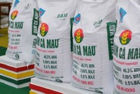 Vì sao Đạm Cà Mau đặt kế hoạch lãi giảm gần 80%