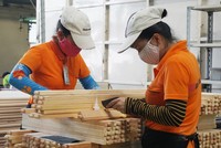 Năm 2020, Tổng cục Lâm nghiệp đặt mục giá trị xuất khẩu lâm sản đạt từ 12,5 tỷ USD.