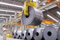 Trong quý vừa qua, doanh thu của Hoa Sen giảm mạnh, song lợi nhuận sau thuế vẫn tăng đáng kể. Ảnh: Đ.T