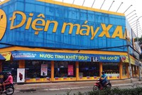 Cùng với Bách hoá Xanh, chuỗi Điện máy Xanh đang góp phần đáng kể vào doanh thu của Thế giới Di động.