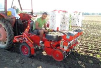 Máy trồng cây siêu tốc có thể hoạt động trên cánh đồng lớn