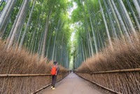 Hiểu đúng về phong thủy