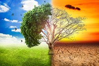 Tổng quan phong thủy năm Canh Tý 2020