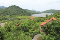 Đất vườn: Thiếu nữ sắp dậy thì