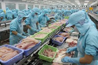 Lợi nhuận sau thuế quý 4 của ACL còn 12 tỷ đồng, giảm đến 87%.