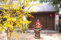 Mùi Tết gây thương nhớ