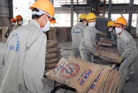 Quy mô công suất ngành xi măng Việt Nam hiện đã vượt 100 triệu tấn/năm. Ảnh: Đức Thanh