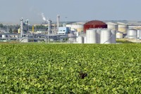 Cơ quan Năng lượng Quốc tế cho rằng đầu tư thêm vào phát triển nhiên liệu sạch là giải pháp quan trọng cho việc cắt giảm phát thải. Trong ảnh: Khu vực bể chứa ethanol tại nhà máy tinh luyện đường Arcis-sur-Aube miền Đông nước Pháp. Nguồn: AFP