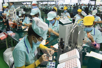 90% lao động tại khu chế xuất, công nghiệp ở TP.HCM trở lại làm việc sau tết.