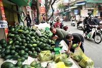 Không thể xuất khẩu, rất nhiều xe container chở các mặt hàng nông sản từ miền Trung ra như dưa hấu, thanh long đã phải quay ngược về Hà Nội để tiêu thụ trong nước (Ảnh: Infonet)