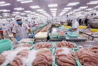 EVFTA là một hiệp định toàn diện, chất lượng cao và sẽ mang lại lợi ích kinh tế rõ rệt cho cả Việt Nam và EU.