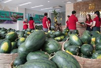 Nhân viên Phúc Khang cùng vận chuyển dưa đi các nơi trao tặng.