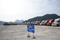 Xuất khẩu nông sản sang Trung Quốc đang bị ảnh hưởng bởi dịch Covid-19. Trong ảnh: Xe chờ thông quan tại cửa khẩu Tân Thanh (Lạng Sơn). Ảnh: Đ.T