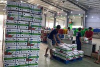 Bộ Công Thương đề nghị các địa phương hạn chế đưa hàng hóa lên biên giới, trừ trường hợp đưa lên để xuất khẩu theo hình thức chính ngạch và đối tác phía Trung Quốc có khả năng nhận hàng.