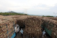 Các nhà máy đường nếu không nghĩ đến đa dạng hóa sản phẩm thì khó có thể hạ giá thành đường và khó cạnh tranh được với ngành đường thế giới.