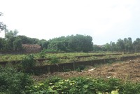 Việc mua bán đất xen kẹt không giấy tờ vẫn diễn ra phổ biến 