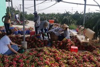 Nền kinh tế không chấp nhận thay đổi kiểu cơi nới