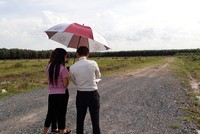 Nhà đầu tư nếu không tỉnh táo, chỉ chạy theo cơn nóng sốt và lời giới thiệu ngon ngọt của môi giới rất dễ mất tiền 