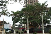 Dự án khách sạn quốc tế Đồ Sơn của Tập đoàn Nam Cường vẫn chưa hoàn thiện để đưa vào sử dụng. Ảnh: Thu Lê