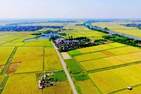 Thủ tục gia hạn thời gian sử dụng đất nông nghiệp