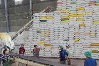 Trong 2 tháng đầu năm, xuất khẩu gạo đạt 900.000 tấn, mang về 410 triệu USD. Ảnh: Đức Thanh