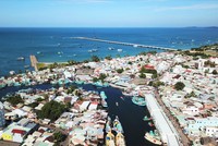 (Ảnh minh họa: Internet)