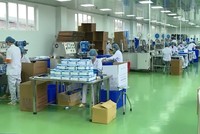 Bộ Công Thương đề nghị Tổng cục Hải quan tạo điều kiện thuận lợi cho doanh nghiệp xuất khẩu khẩu trang vải sang Mỹ, EU, Nhật Bản.