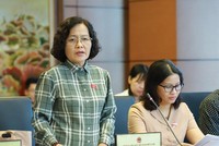 Bà Trần Thị Quốc Khánh, đại biểu Quốc hội hiếm hoi có sáng kiến lập pháp.