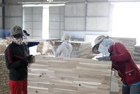 Hiện có 81% số doanh nghiệp thuộc Hiệp hội Chế biến gỗ Bình Dương bị giảm ít nhất 20% đơn hàng từ thị trường Liên minh châu Âu…