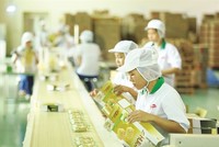 Bibica (BBC) gặp rắc rối tài chính trong hạch toán