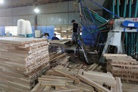 Xuất khẩu gỗ sẽ chịu nhiều ảnh hưởng bởi tình hình dịch bệnh tại Mỹ và châu Âu. Ảnh: Đ.T