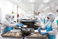 Theo Sở LĐ-TB&XH tỉnh Khánh Hòa, tỉnh này có 32 doanh nghiệp báo cáo về tình hình ảnh hưởng bởi dịch Covid-19. Các doanh nghiệp này đã phải cho hơn 1.770 người lao động nghỉ việc, ngừng việc.