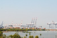 Tỉnh Bà Rịa – Vũng Tàu rà soát và lên phương án kêu gọi nhà đầu tư với 17 dự án cảng biển chưa triển khai, chưa có nhà đầu tư. Cảng CMIT trong khu vực Cái Mép- Thị Vải. Ảnh: Ngọc Tuấn