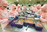 Đặc điểm của các doanh nghiệp ngành thực phẩm là hàng tồn kho có tính “nhạy cảm” khá cao, bởi đây là các mặt hàng nhanh xuống cấp nếu phải lưu kho lâu ngày. Ảnh: Đức Thanh