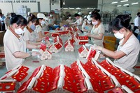 Gần 90% doanh nghiệp mới có vốn đăng ký dưới 10 tỷ đồng