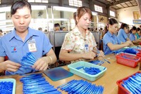 Theo công ty nghiên cứu AC Nielsen Việt Nam, năm 2018 TLG đứng đầu thị trường bút viết trong nước với 60% thị phần