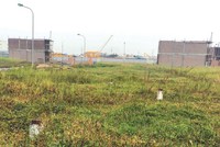 Vụ “người chết vẫn ký vào hồ sơ chuyển nhượng cổ phần” tại TST: Hủy giấy đăng ký kinh doanh