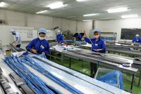 Hoạt động sản xuất, kinh doanh gặp khó do ảnh hưởng bởi Covid-19 có thể ảnh hưởng tới việc hoàn thành các chỉ tiêu kinh tế - xã hội năm 2020.