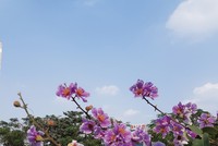 Vững tin với thị trường địa ốc