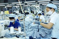 Các doanh nghiệp mong có những đường dây nóng để giải quyết vướng mắc, tiếp nhận ý kiến phản ánh về những hành vi tiêu cực, làm khó doanh nghiệp.