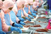 Đối với EVFTA và CPTPP, Việt Nam đều có lộ trình xóa bỏ thuế nhập khẩu trong khoảng 10 năm với khoảng 99% số dòng thuế của các nước đối tác