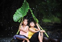 Dịch bệnh như cơn mưa dữ, ai đi ngoài đường cũng ướt