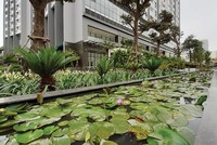 Dự án có khá nhiều không gian xanh. Ảnh: Thanh Huyền