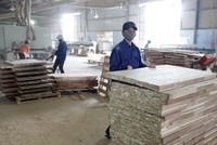 Nhiều doanh nghiệp gỗ đang kỳ vọng đẩy mạnh xuất khẩu sang thị trường EU. Ảnh: Đức Thanh