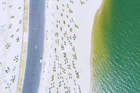 Sun Grand City Feria nằm bên cạnh bãi tắm và đường bao biển đẹp bậc nhất miền Bắc