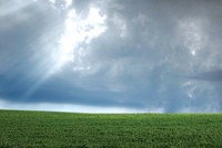 Doanh nghiệp tập “sống khác”