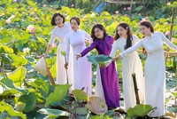 Những đầm sen rộng lớn tha hồ cho du khách tạo dáng.