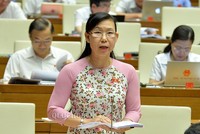 Ở cả hai kỳ họp thứ 8 và thứ 9 của Quốc hội, đại biểu Phan Thị Mỹ Dung (Long An) đều khẳng định quan điểm cần cấm đầu tư kinh doanh dịch vụ đòi nợ.