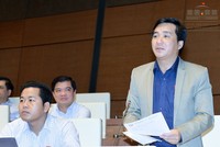 Đại biểu Dương Minh Tuấn (Bà Rịa - Vũng Tàu) tán thành bỏ quy định thông báo mẫu dấu.